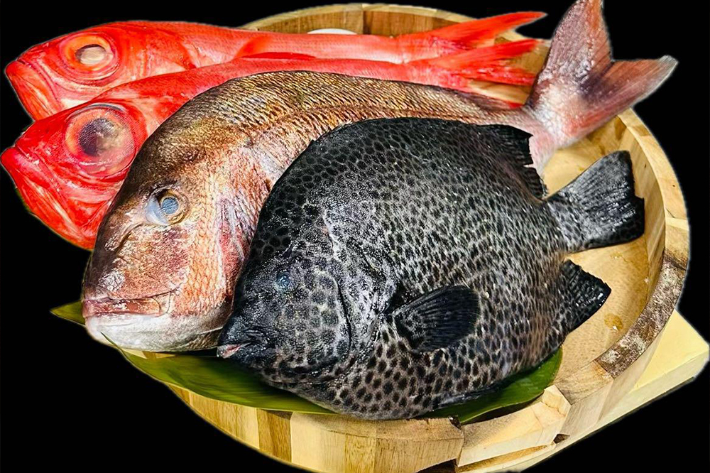 Whole fresh fish selection for Japanese seafood specials